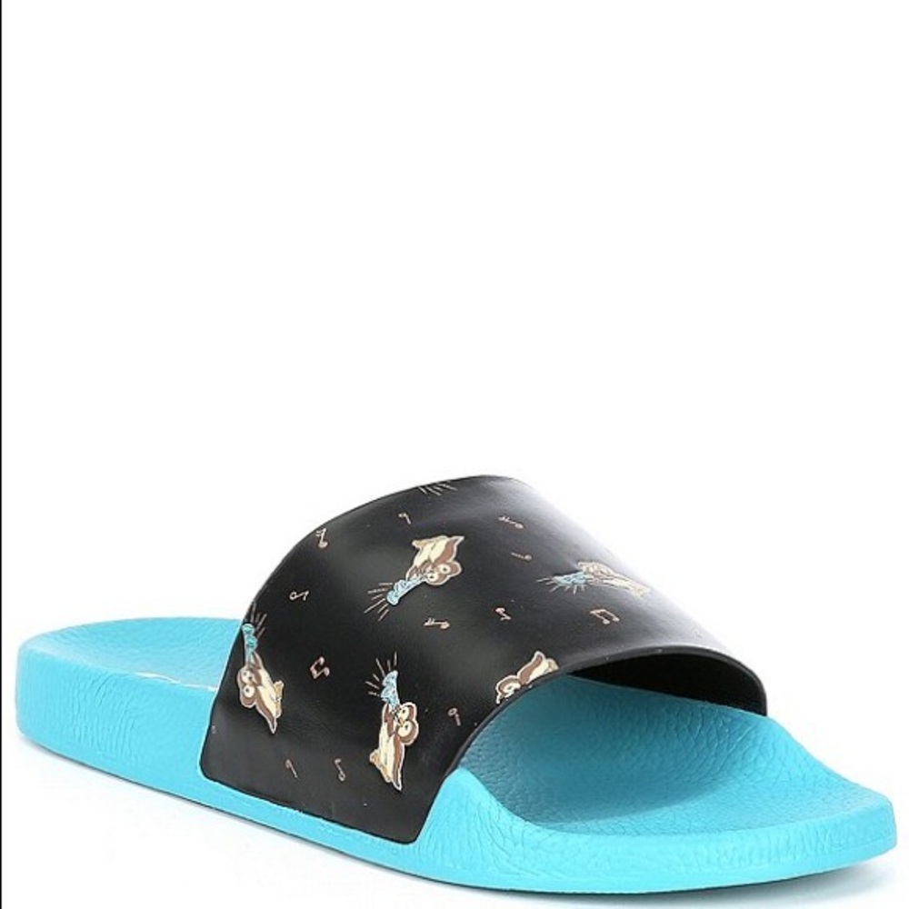 Coach slides